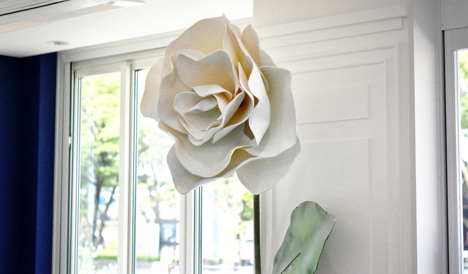 白薔薇